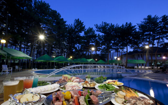 Seagaia Forest Cottages