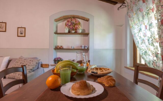 House Viola Peccioli