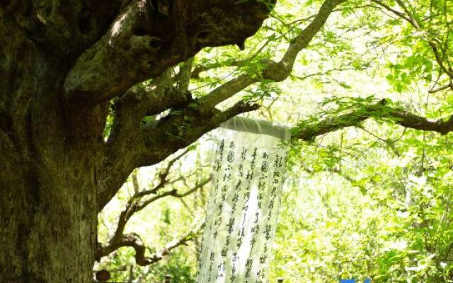 Tree House Nanshan Sanya