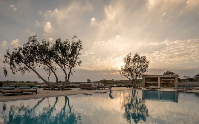 Phaos Cellaria Estate
