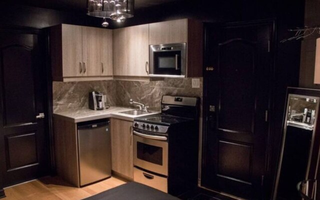 Montreal Downtown Ritz Area - Suite Studio 101