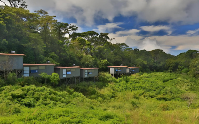 The Rainforest Ecolodge