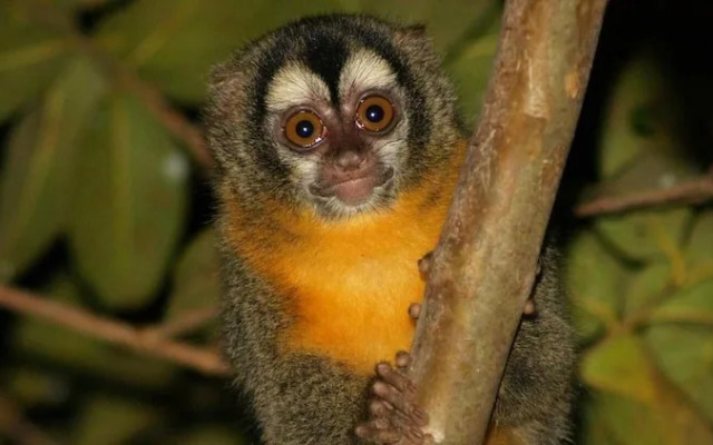 Pousada Do Rio Mutum