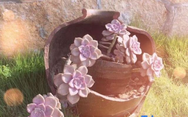 Wenling Jingxin Haishe Homestay