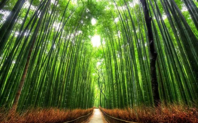 Kyoto Guesthouse meguri Hanazono - Hostel