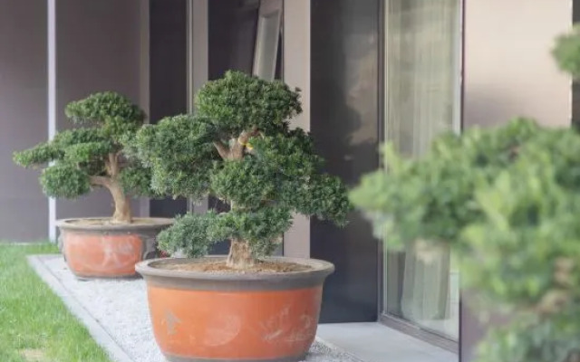 JI Hotel (Shanghai Wujiaochang Changhai Hospital)