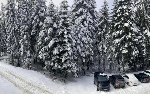 Borovets Gardens apartment A20