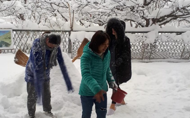 Veriko's Guest Hause