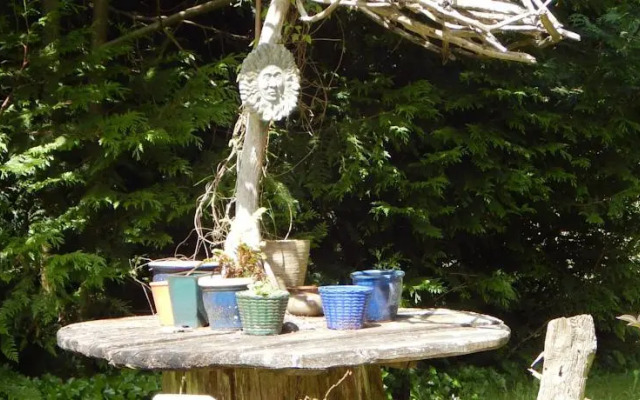 Green Cat Guest House