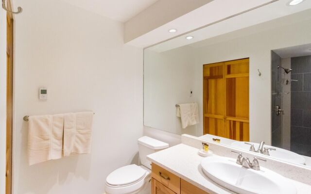 Ski in Out, Great Location, Free Shuttle Bus