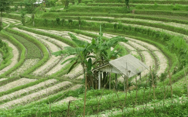 Darmada Eco Resort