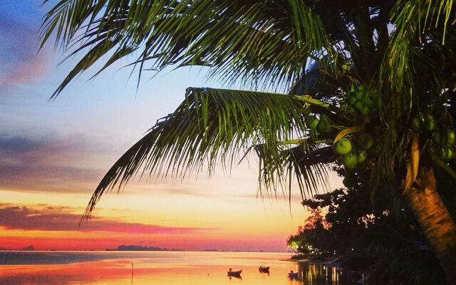 La Casa Tropicana by Cospace