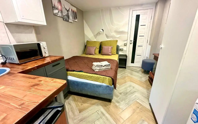 Апартаменты на улице Карла Маркса 11