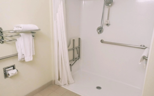 Microtel Inn & Suites by Wyndham Toluca