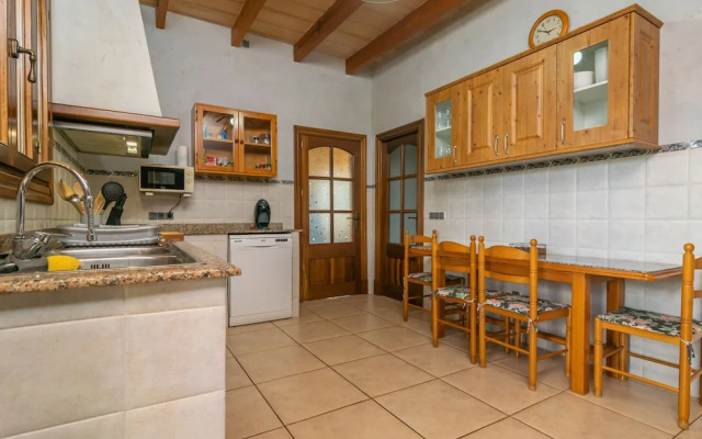 Can Berguins in Buger