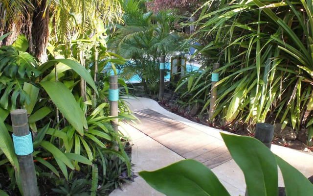 Rarotonga Daydreamer Escape