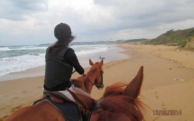 Atlitur Gumusdere Beach Camp