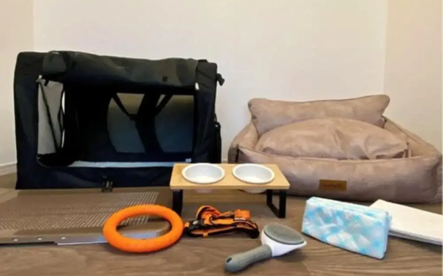 B/C APARTMENT Asakusa Hanazono Dori Hotel with Rental Car and Sauna