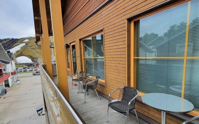 Levi Suites Levi Gold