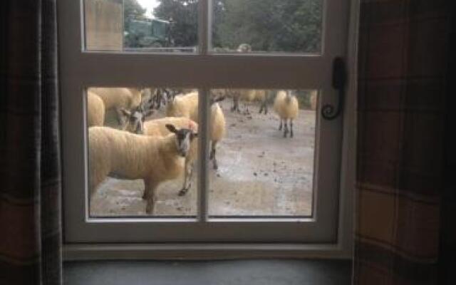Highside Farm B&B