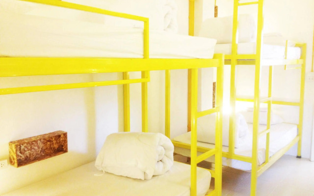 Safe and Sound Hostel