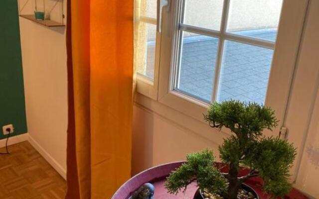 Le Rhin Et Danube Wifi