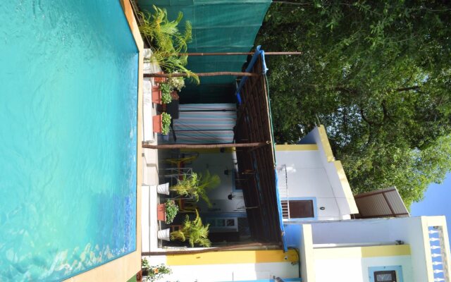 Marine Garden Studios