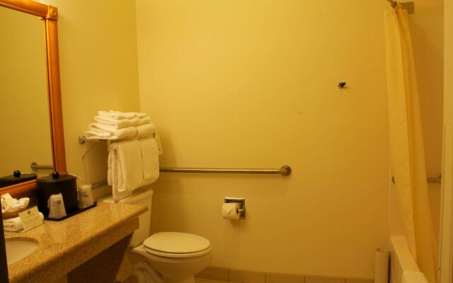 Best Western Plus Grapevine Inn