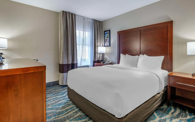 Comfort Inn Asheville East-Blue Ridge Pkwy Access