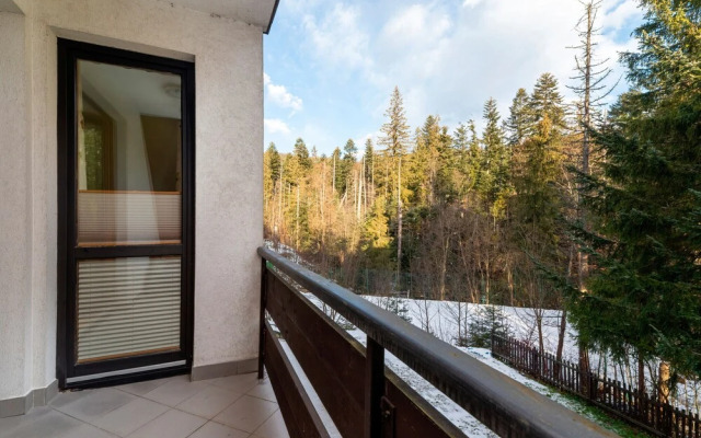 Mountain View Czajki by Renters