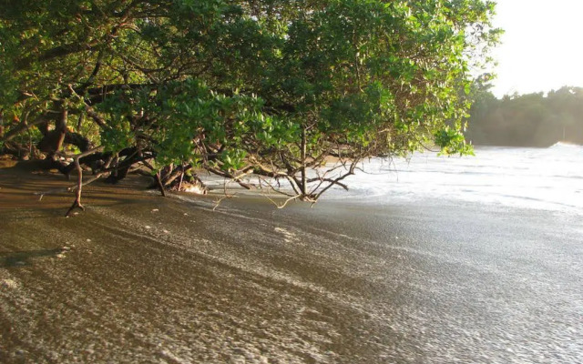 Punta Marenco Lodge