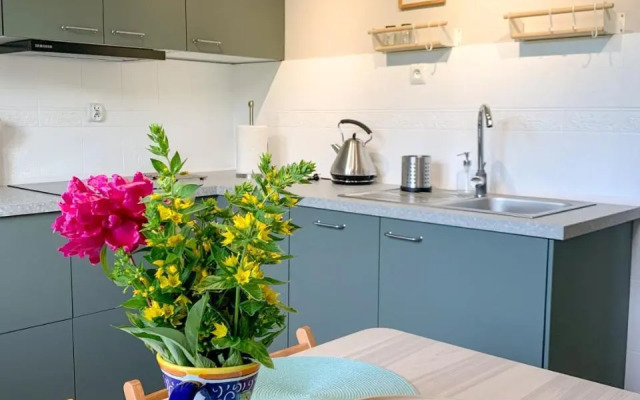 Między górami. Apartament w Cisnej