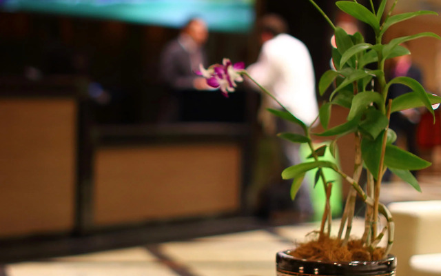 Crowne Plaza Panama by IHG
