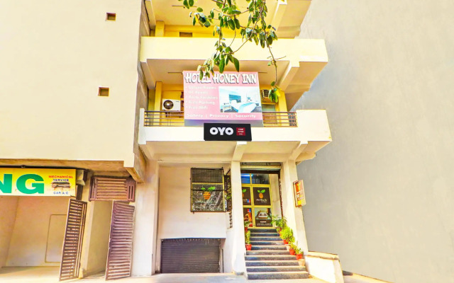 OYO Flagship 26685 Palam VIllage