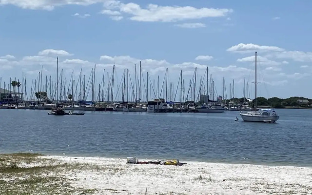 The Mermaid and the Sea Turtle