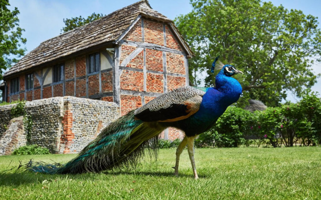 Bailiffscourt Hotel & Spa