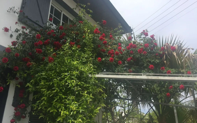 Maison La fleur de sel