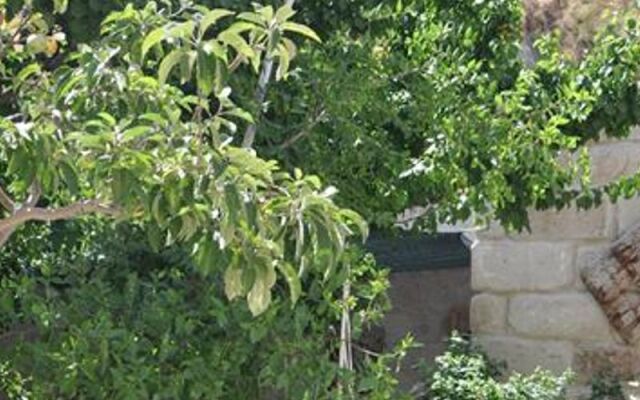 Cemil Koyu Cave House