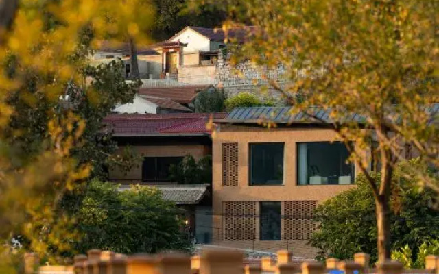 Rareyard  Liushigang