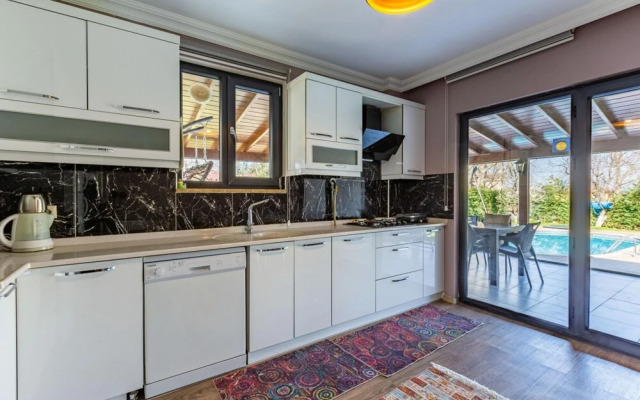 Duplex Villa With Pool and Garden in Sapanca