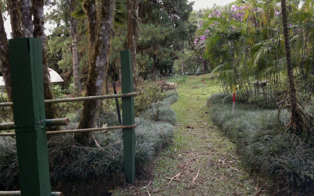 Las Cruces Biological Station