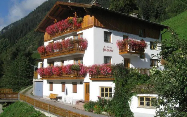 Haus Anemone