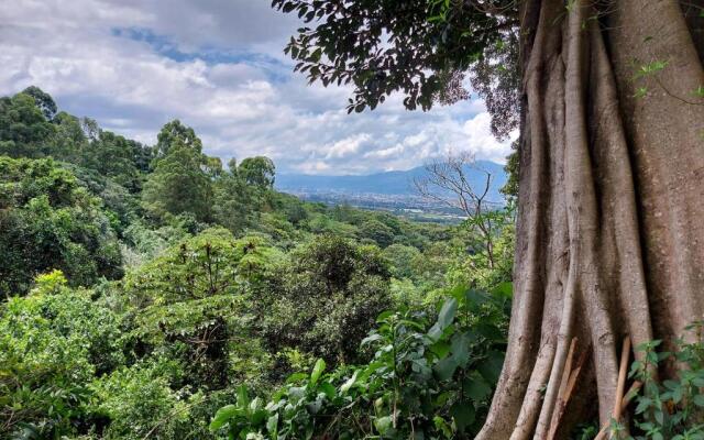 Hotel Monte Campana Heredia