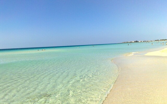 Punta Prosciutto Bed To Rent