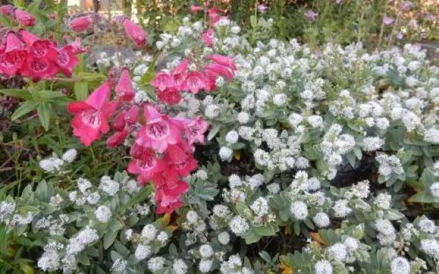 The Farm Snead Bed & Breakfast