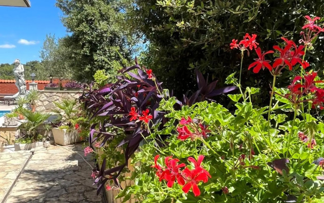 Studio apartment Gorana