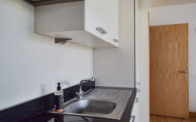 Modern 2 Bedroom East London Apartment by Olympic Park