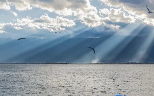 Wuxin Lake View Hostel