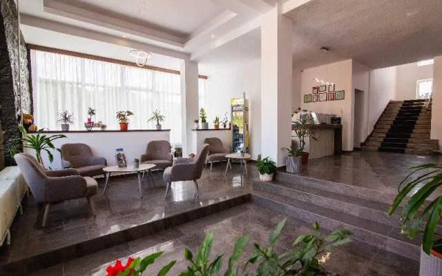 Vila Ursul Negru