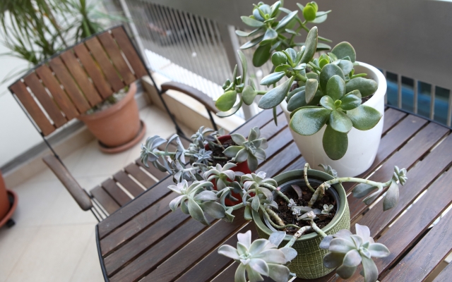 Best House Athens Cntrl Flat Ithakis Str